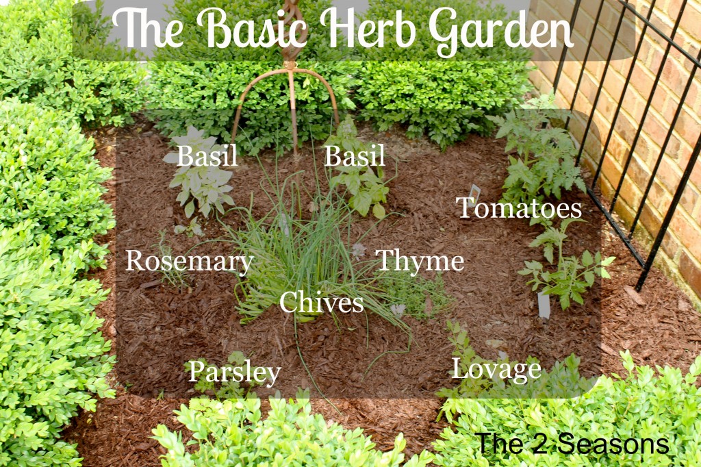 Basic Herb Garden 1024x682 - The Basic Herb Garden, Revisited