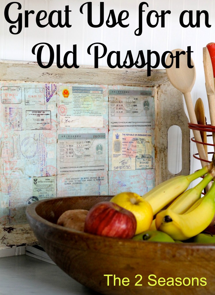 Passport Tray 746x1024 - What To Do WIth Your Old Passport