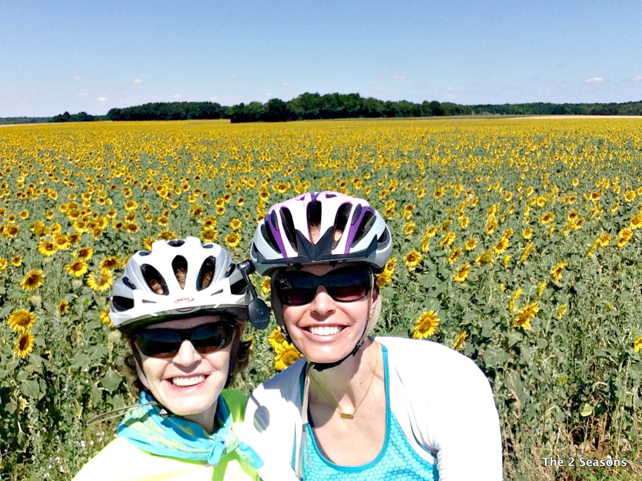 12 - Bicycling in France