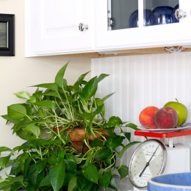 IMG 1496 275x275 - Updated Kitchen Cabinet
