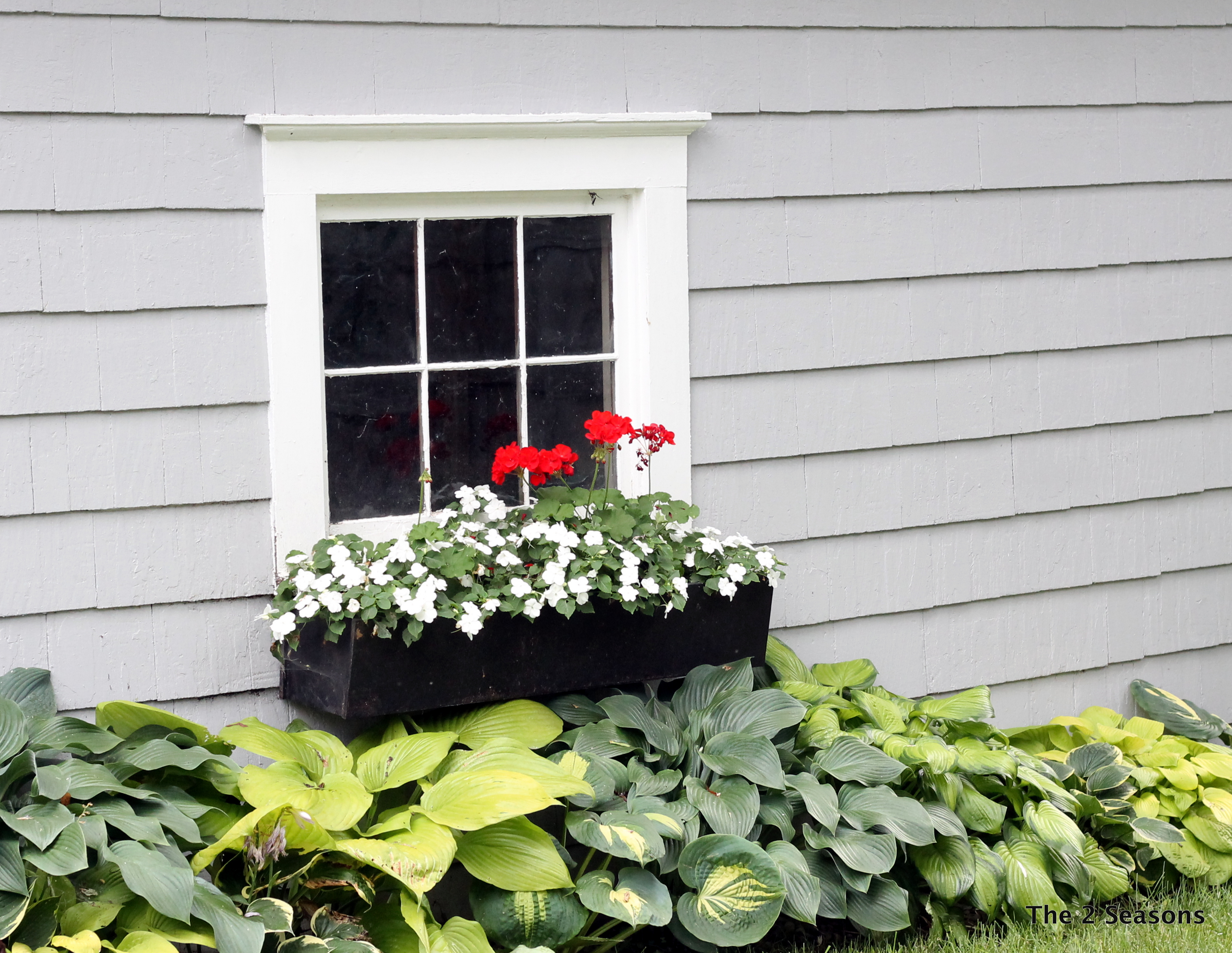 IMG 9077 - 7 Easy Ways to Freshen Your Home's Exterior Now