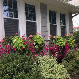 Window Boxes 275x275 - 7 Post-holiday Organizing and Cleaning Tips