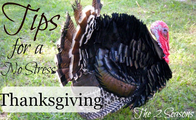 Thanksgiving Tips - Tips for a Stress-free Thanksgiving