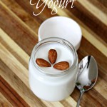 Homemade Yogurt- The 2 Seasons