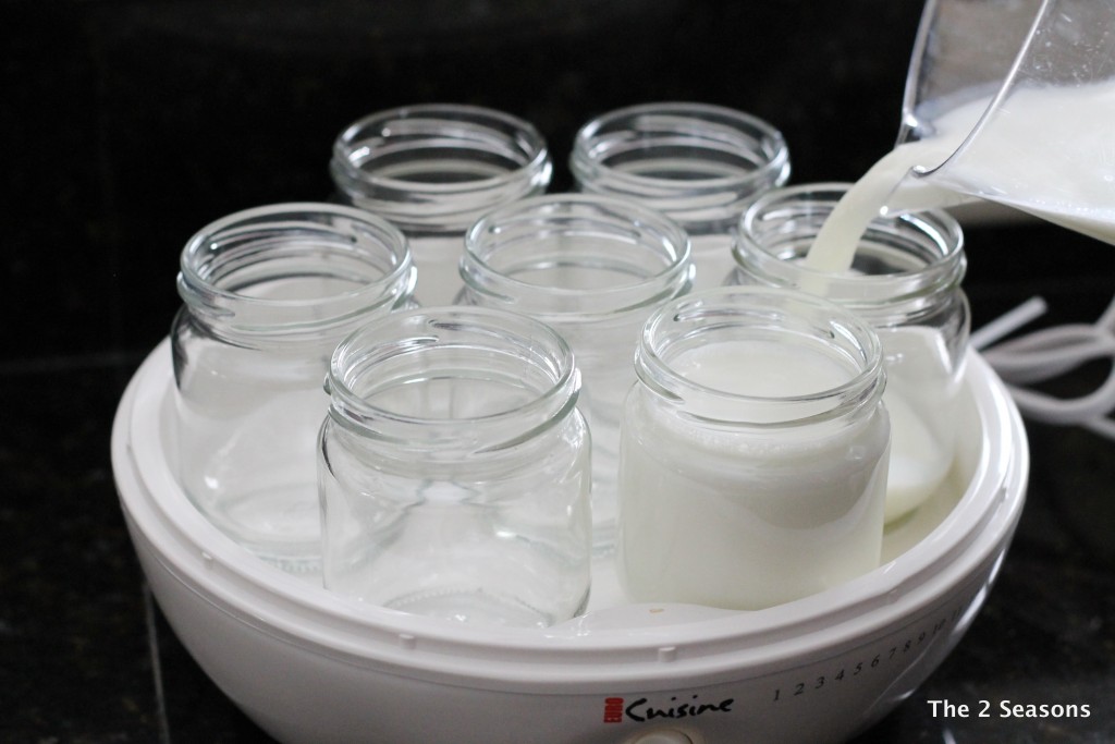IMG 9441 1024x683 - How to Make Your Own Yogurt