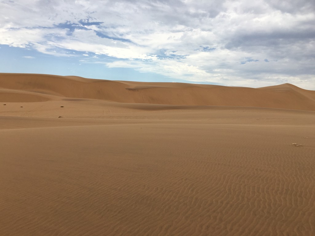 IMG 3861 1024x768 - Our Trip to Namibia