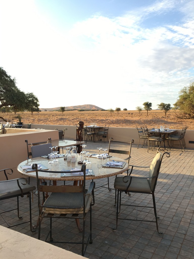 IMG 3946 e1459274788699 768x1024 - Our Trip to Namibia