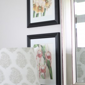 IMG 0178 275x275 - Sources for Free Botanicals and Nature Prints