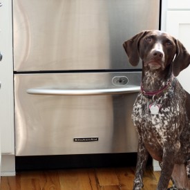 Review of a drawer dishwasher - The 2 Seasons