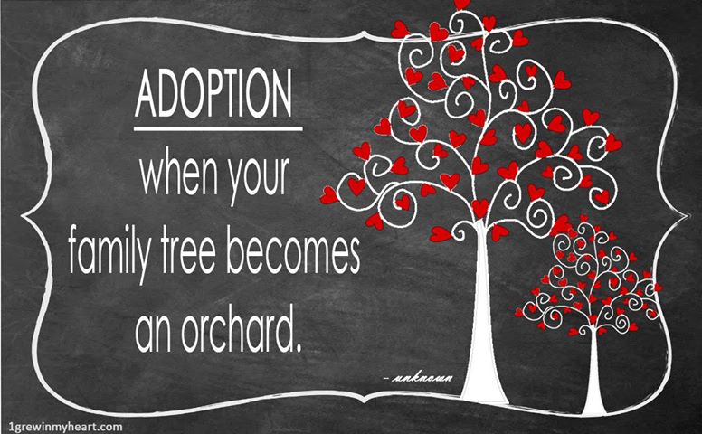 Adoption - Adoption #2 Update