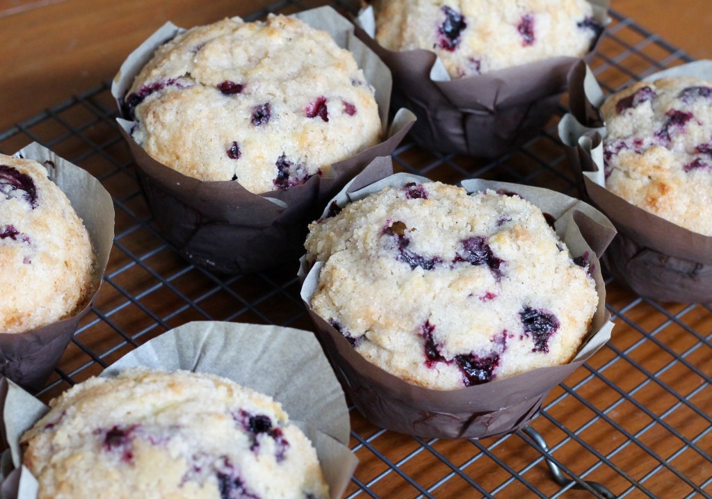 IMG 3037 1024x718 - Blueberry Muffins with Streusel Topping
