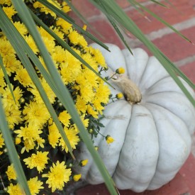 Fall on the stoop - The 2 Seasons