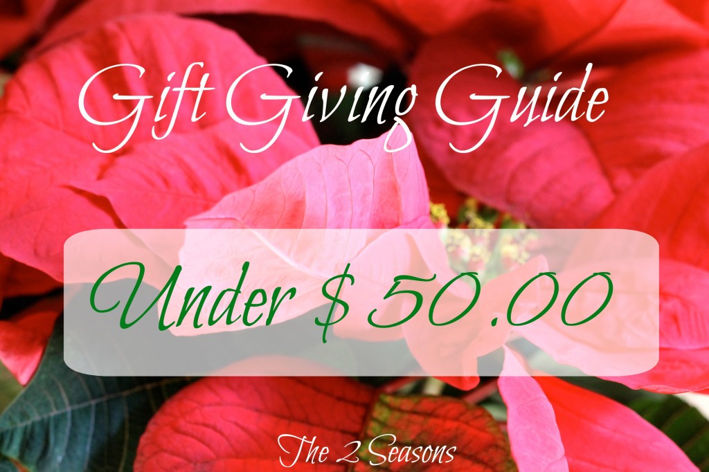 Gift Giving Guide 1024x682 - Gifts Under $50.00