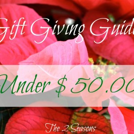 Gift Giving Guide - The 2 Seasons