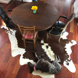 DC dining room gets a rug - The 2 Seasons