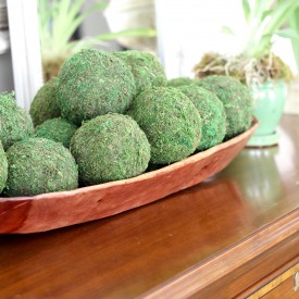Moss balls in great room - The 2 Seasons
