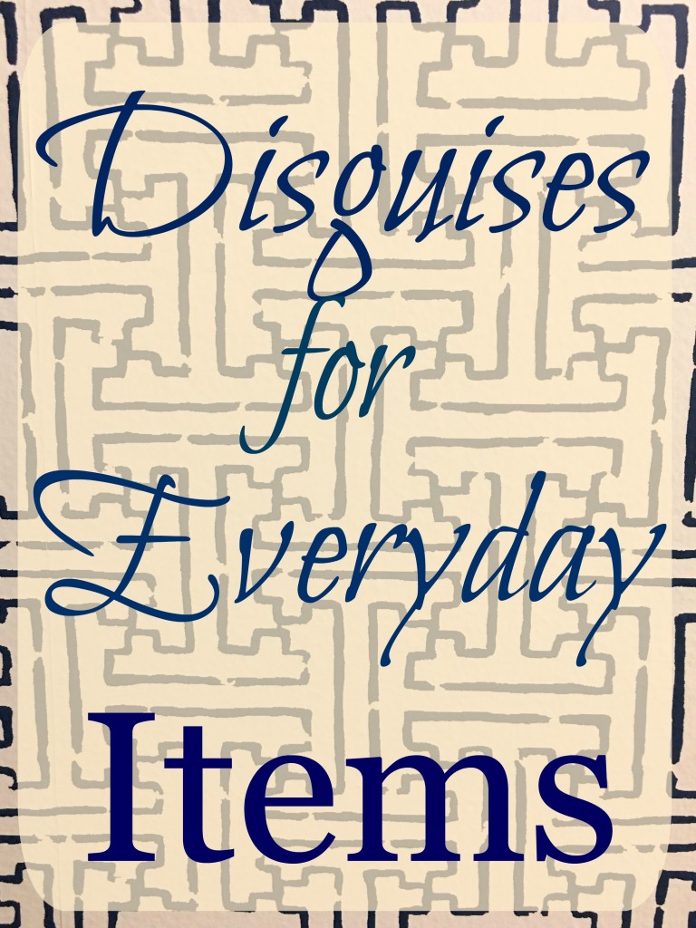 Disguises for Everyday Items 768x1024 - Six Disguises for Everyday Items