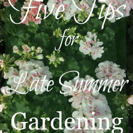Gardening Tips - The 2 Seasons