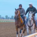 Keeneland 3 120x120 - Horse Farm Tour