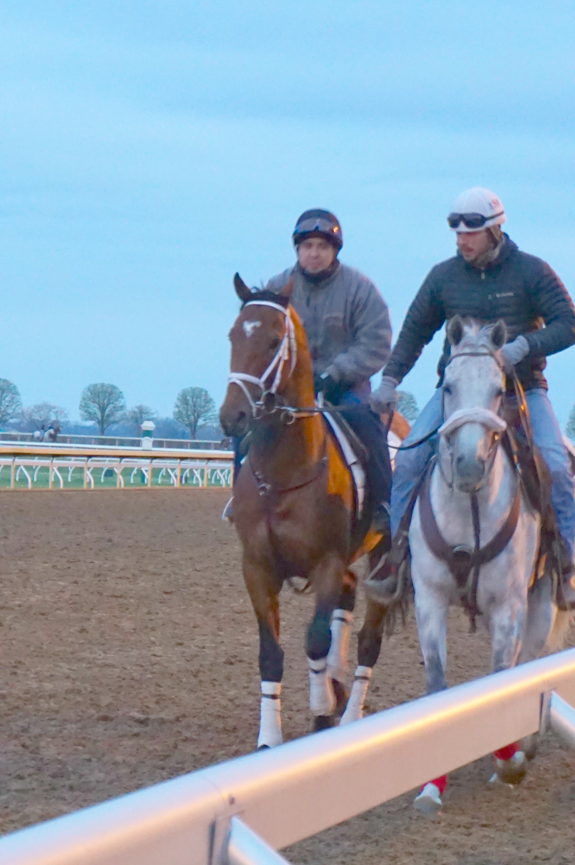 Keeneland Race Track Before Morning Is A Way To See Horses Exercise