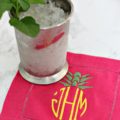 Mint Julep 120x120 - How To Host A Derby Party