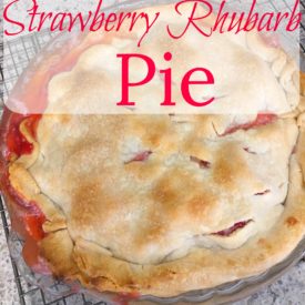 Strawberry Rhubarb Pie - The 2 Seasons