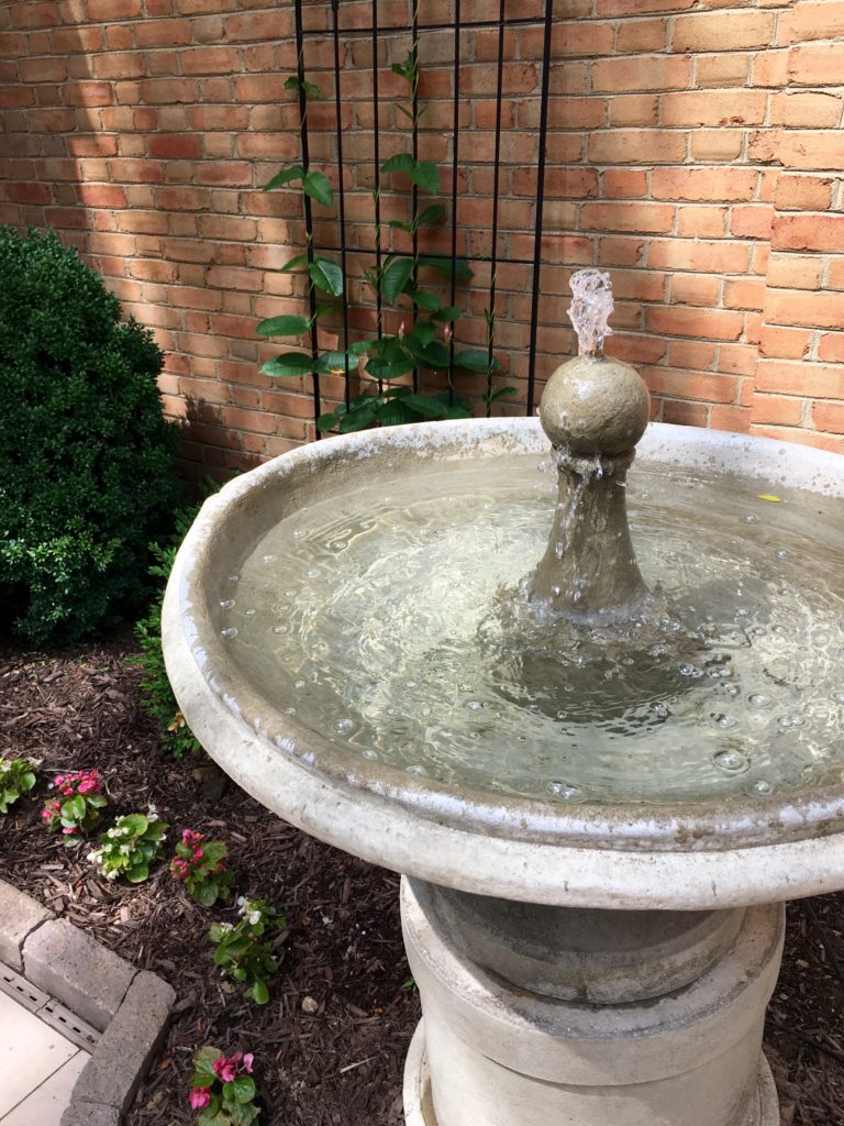 IMG 4665 768x1024 - Our Courtyard Fountain