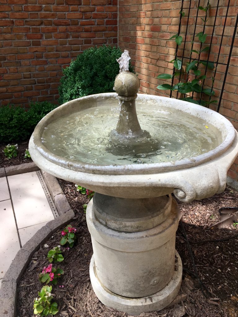 IMG 4667 768x1024 - Our Courtyard Fountain